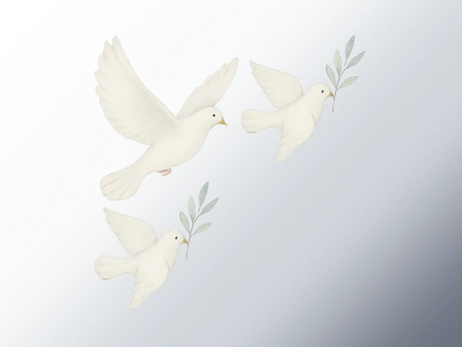 Preview de Palomas de Paz