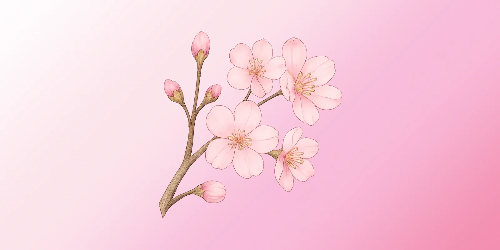 Preview de Flor de Cerezo