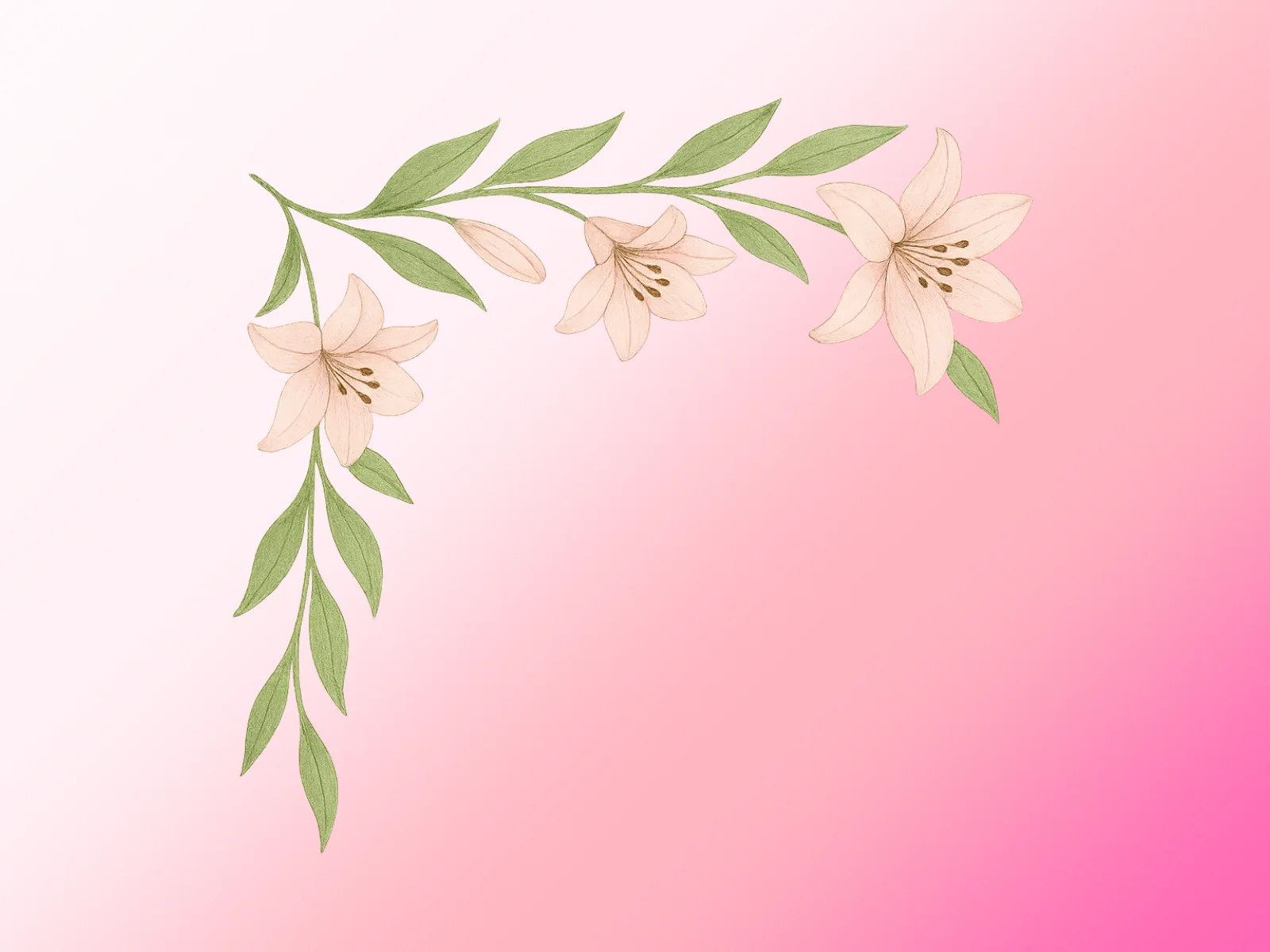 Preview de Liliums Rosados