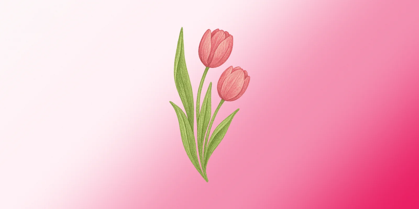 Preview de Tulipanes